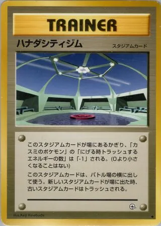 Cerulean City Gym